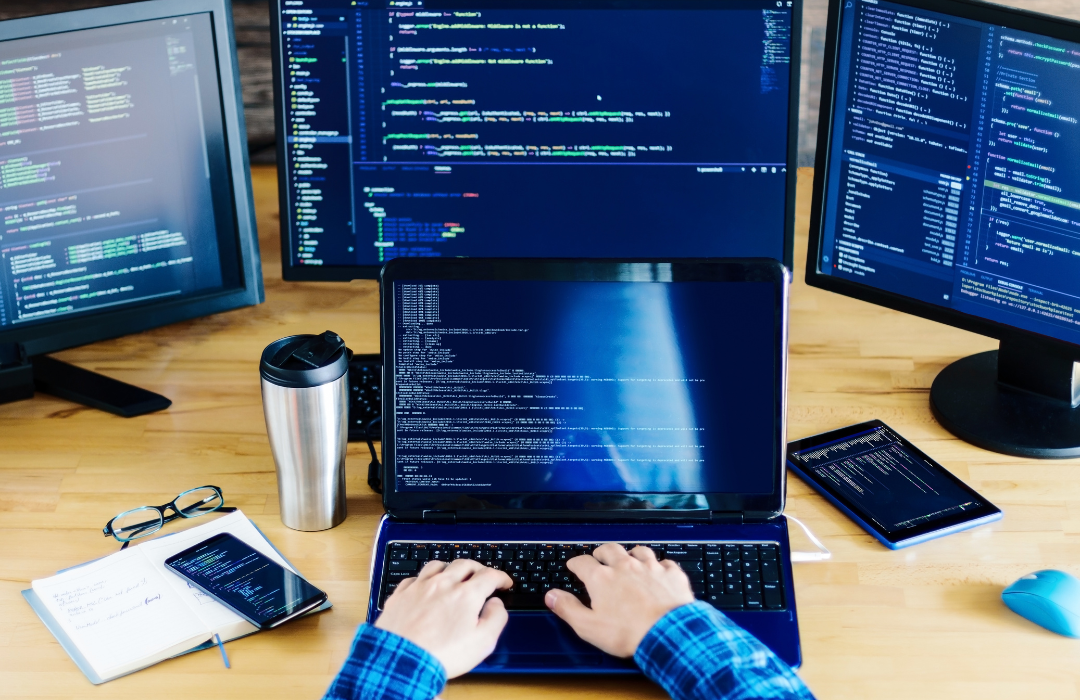 a programmer is customizing an enterprise software
